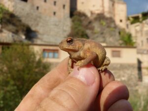 産後の肌荒れをケアする30代女性におすすめの方法は？