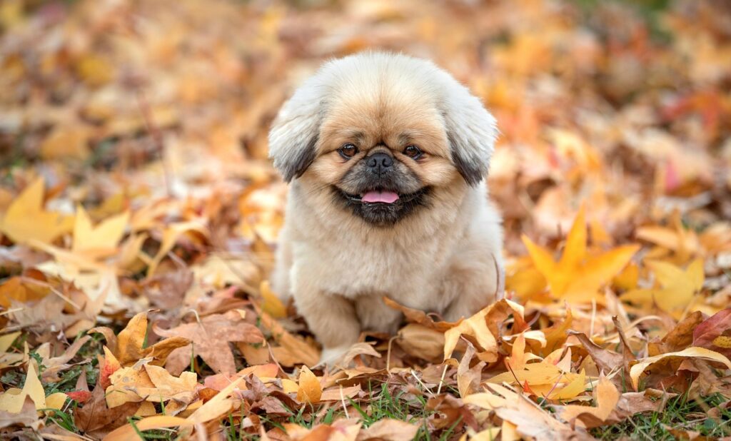 肌が弱る季節に必要な先手ケアとは？