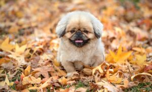 肌が弱る季節に必要な先手ケアとは？