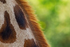 肌の調子が週ごとに違う理由とは？