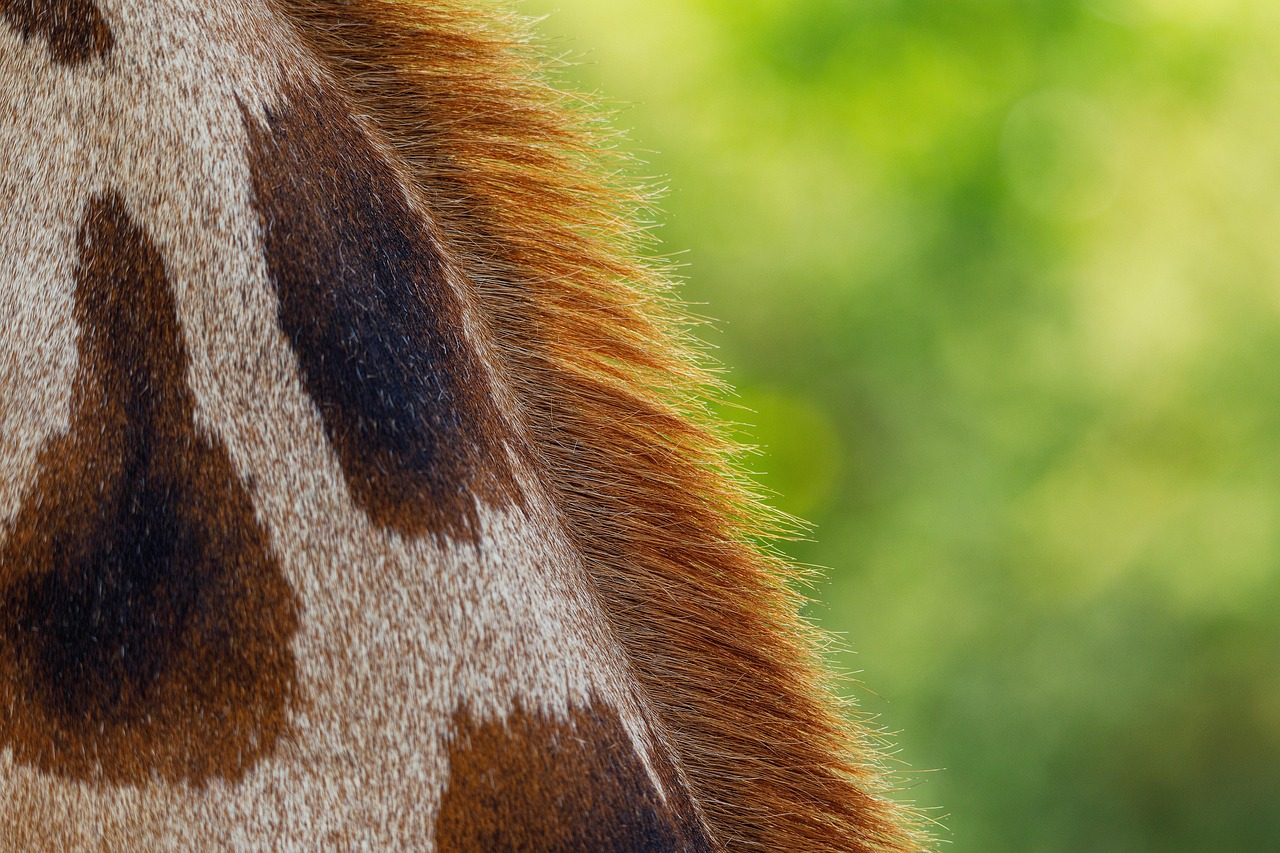 肌の調子が週ごとに違う理由とは？