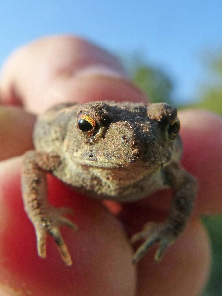 肌荒れスイッチが押される原因とは何か？