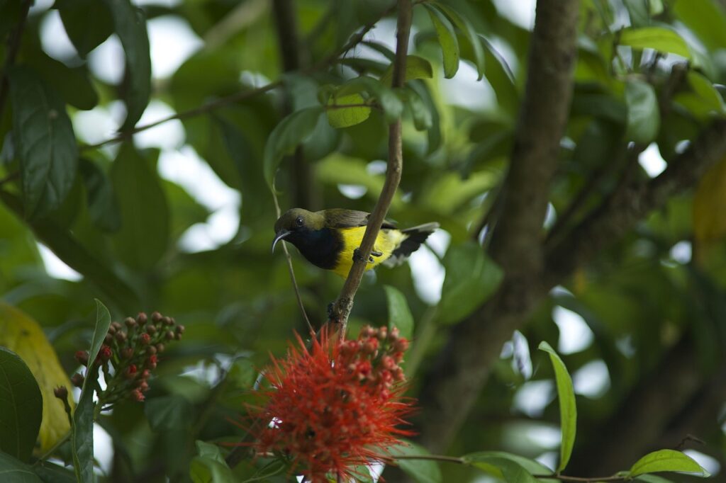 自分に合う美容法が見つからない時の解決策は？