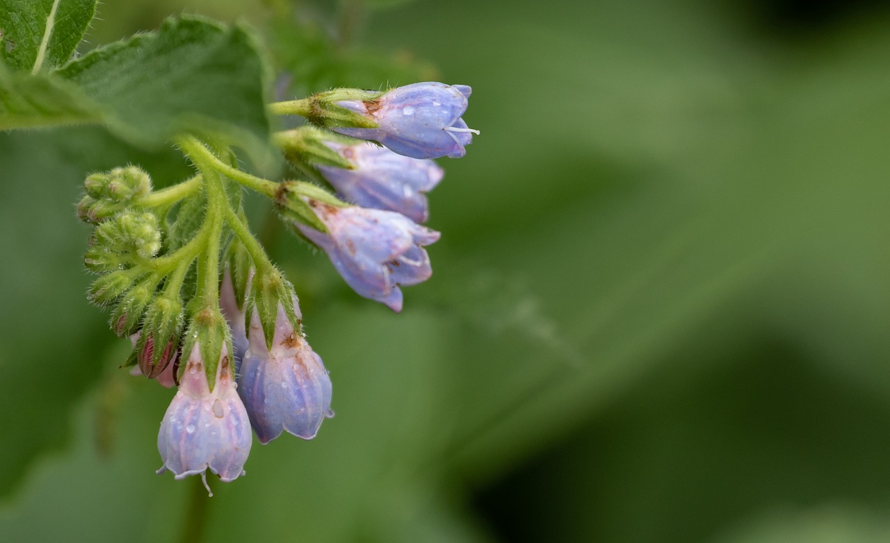30代向けの肌荒れ対策に最適な週末ケアは？