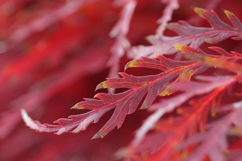 30代のインナードライを改善する方法は？