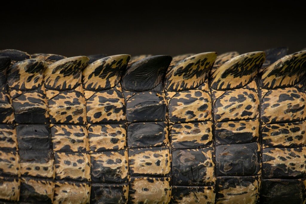 肌のハリ不足に気付くポイントとは？