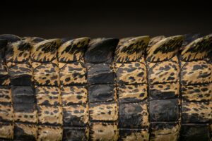 肌のハリ不足に気付くポイントとは？